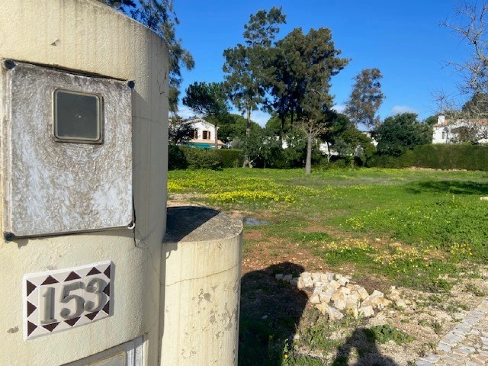 Terreno para Venda em Barão de São Miguel Foto 2