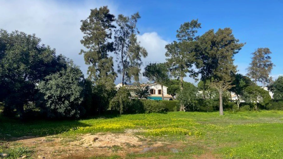 Terreno para Venda em Barão de São Miguel
