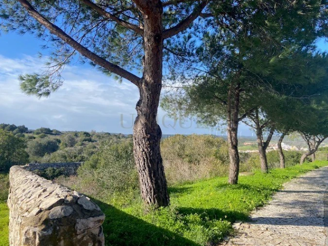 Terreno para Venda em Budens