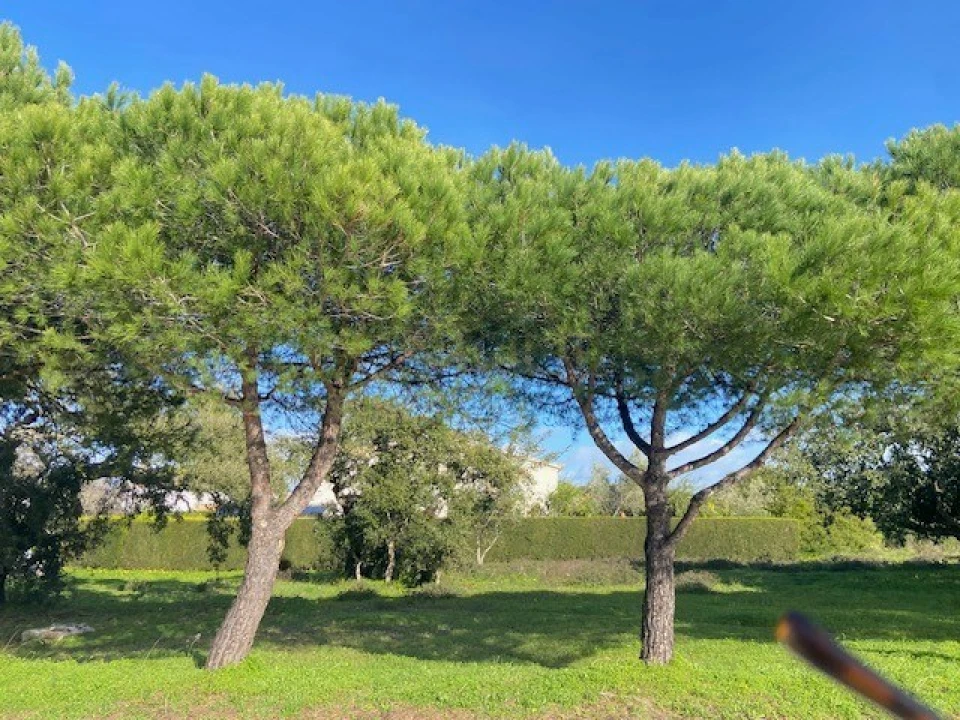 Terreno para Venda em Budens Foto 4