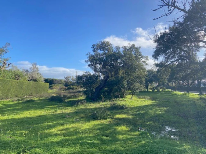 Terreno para Venda em Budens Foto 1