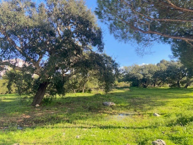 Terreno para Venda em Budens Foto 2