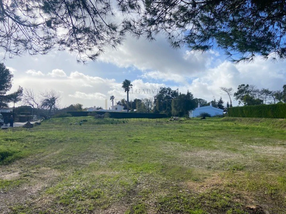 Terreno para Venda em Barão de São Miguel Foto 1