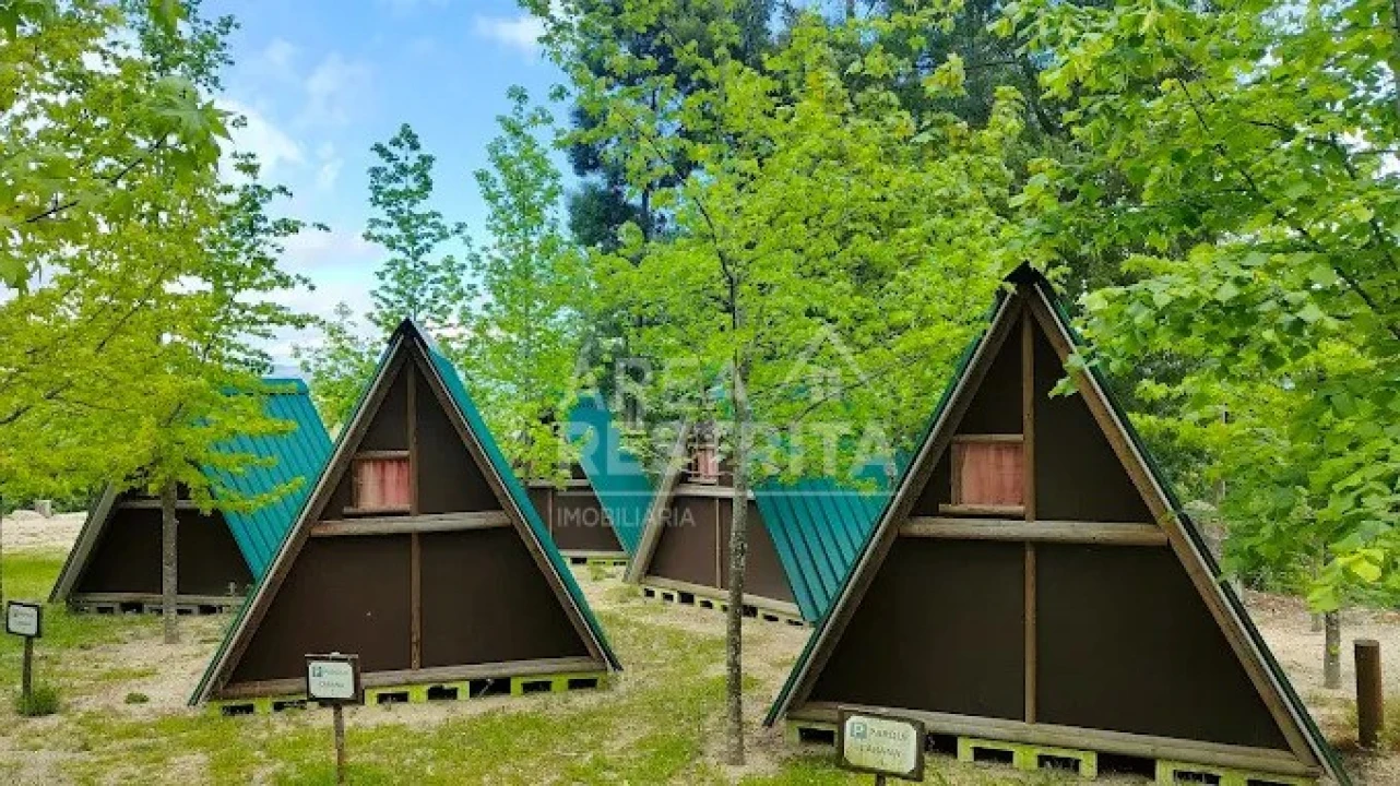 Quinta T20 para Venda em Vilar da Veiga Foto 2