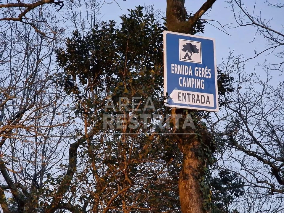Quinta T20 para Venda em Vilar da Veiga Foto 5