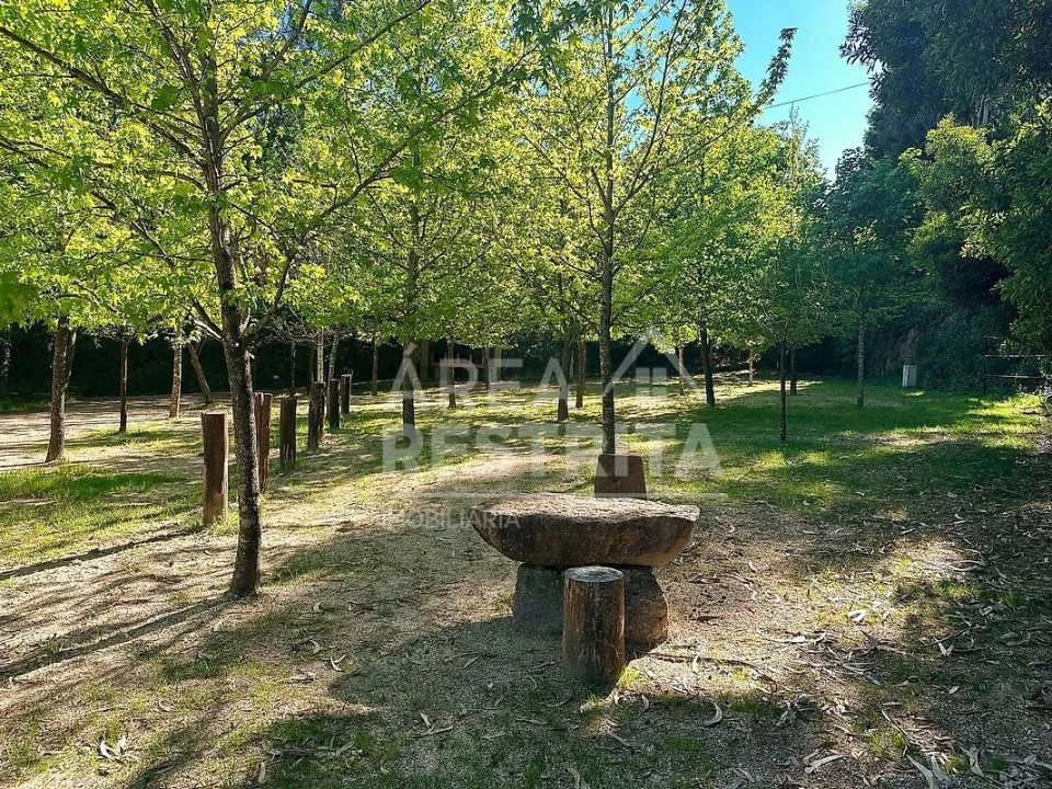 Quinta T20 para Venda em Vilar da Veiga Foto 8