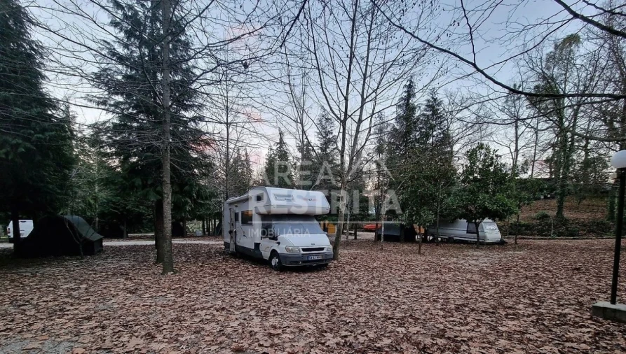 Quinta T20 para Venda em Vilar da Veiga Foto 7
