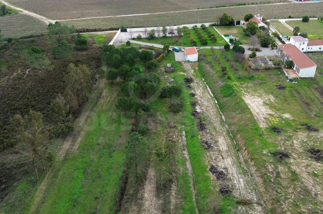 Quinta T3 para Venda em Vendas Novas Foto 45