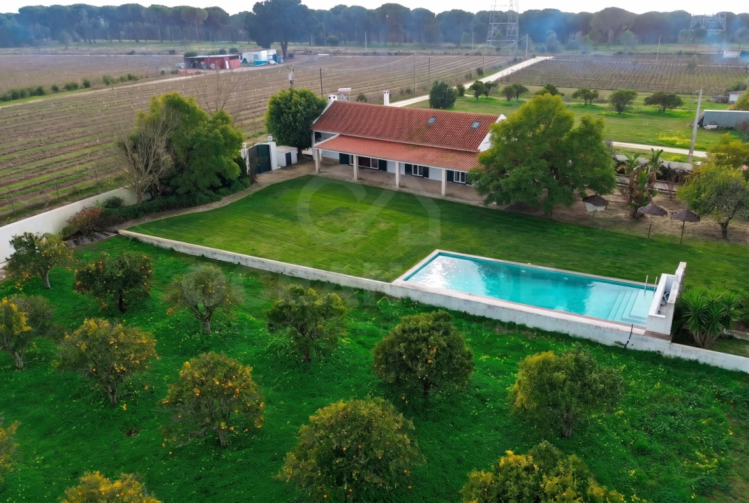 Quinta T3 para Venda em Vendas Novas Foto 43