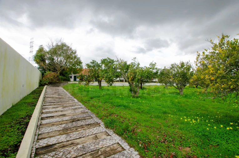 Quinta T3 para Venda em Vendas Novas Foto 2