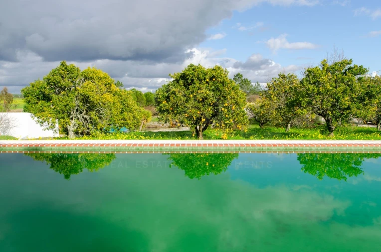 Quinta T3 para Venda em Vendas Novas Foto 22