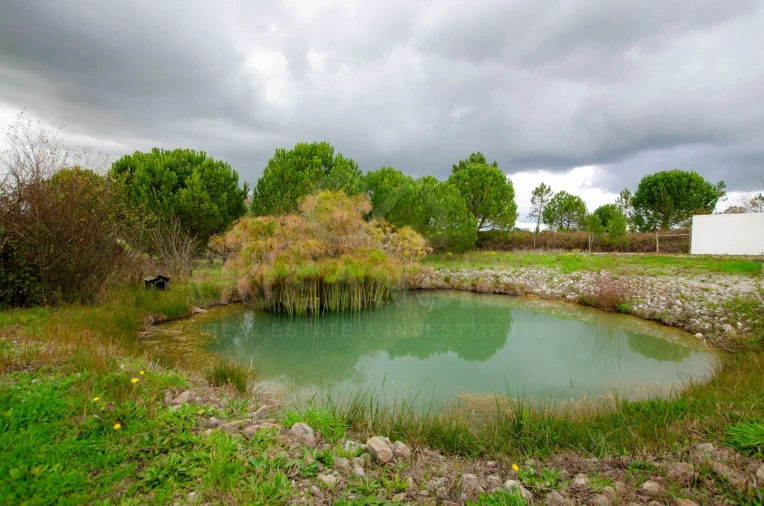 Quinta T3 para Venda em Vendas Novas Foto 40