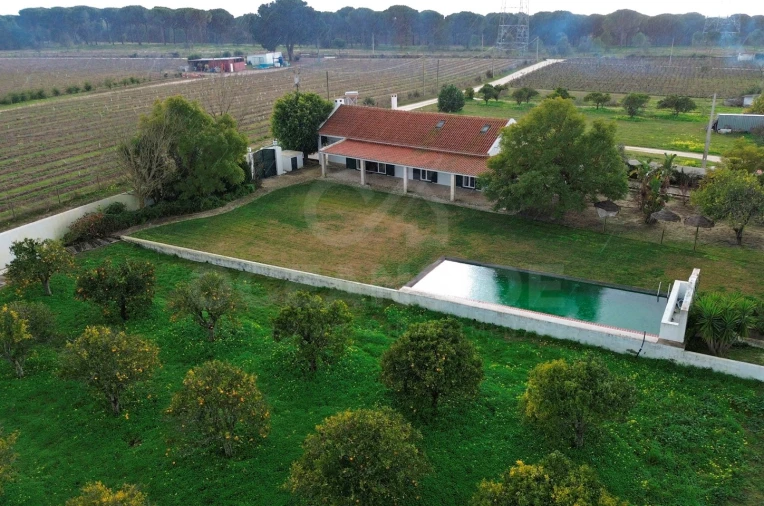 Quinta T3 para Venda em Vendas Novas Foto 43