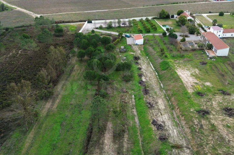 Quinta T3 para Venda em Vendas Novas Foto 45