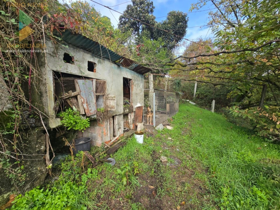 Quinta T2 para Venda em Prozelo Foto 3