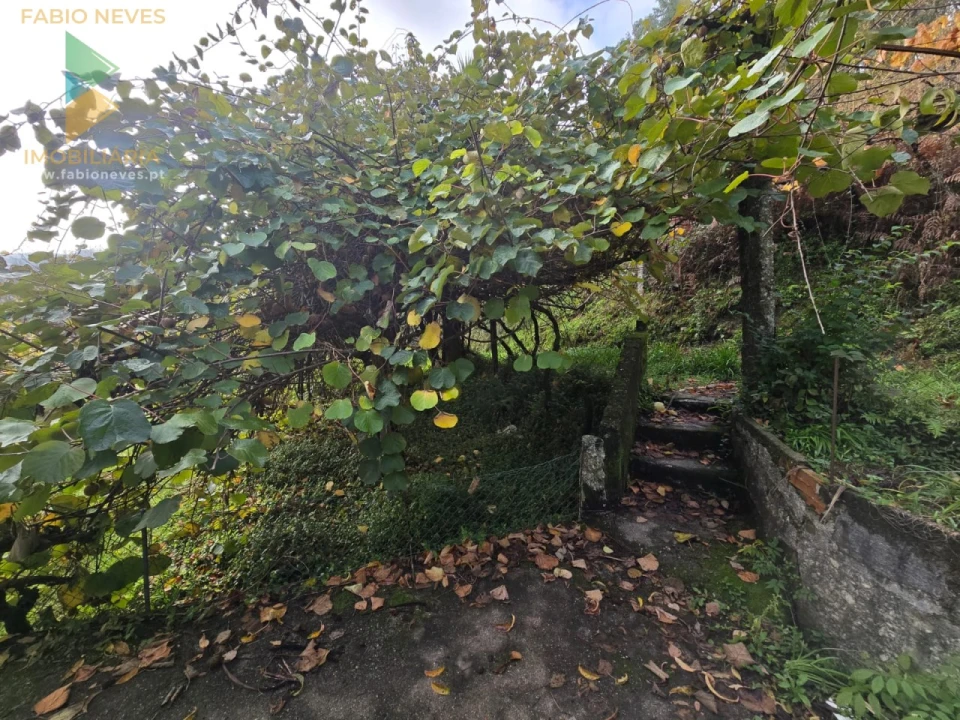 Quinta T2 para Venda em Prozelo Foto 11