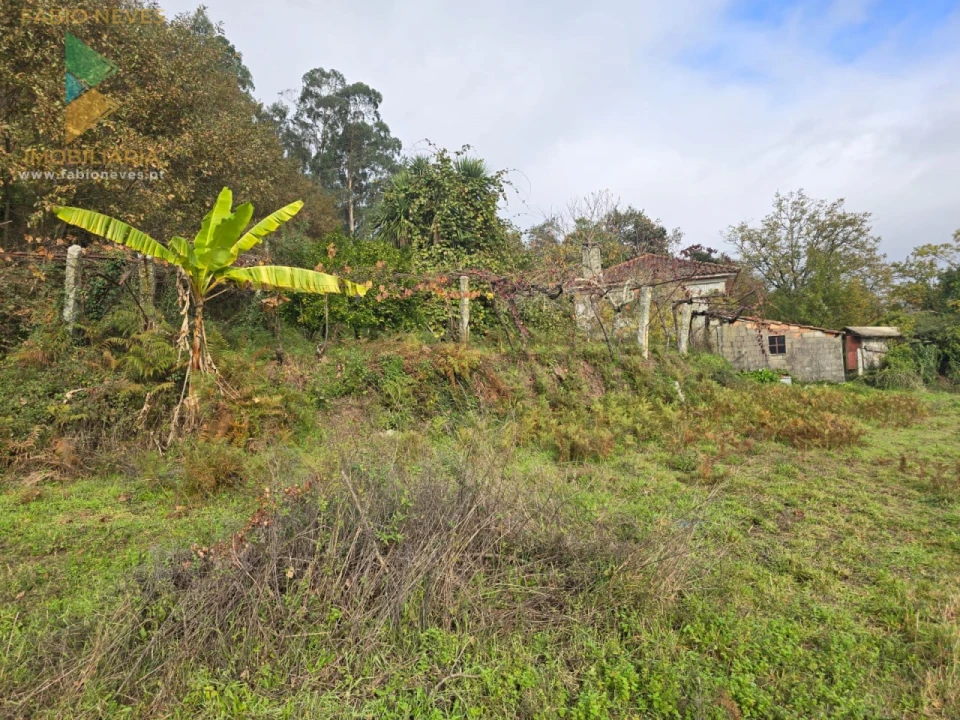 Quinta T2 para Venda em Prozelo Foto 13