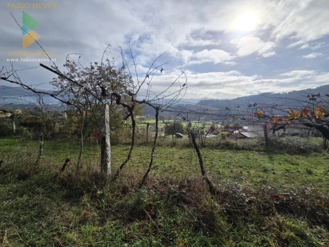 Quinta T2 para Venda em Prozelo Foto 12