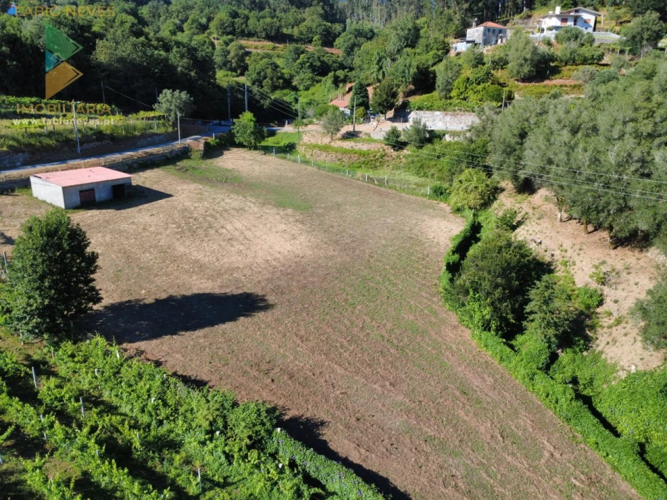 Terreno para Venda em Souto e Tabaçô Foto 3