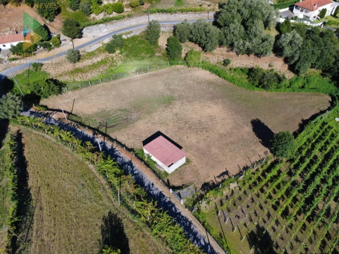 Terreno para Venda em Souto e Tabaçô Foto 5