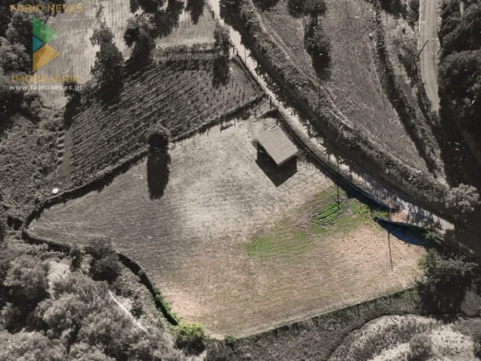 Terreno para Venda em Souto e Tabaçô Foto 4