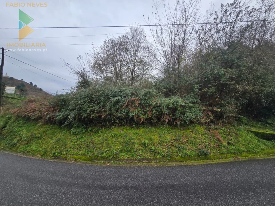 Terreno para Venda em Souto e Tabaçô Foto 6