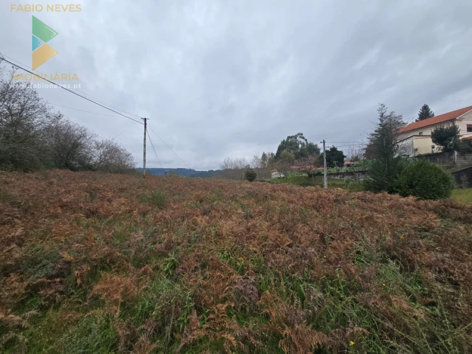 Terreno para Venda em Souto e Tabaçô Foto 3
