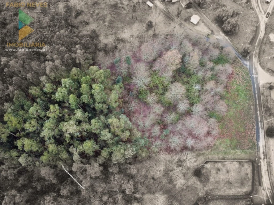 Terreno para Venda em Souto e Tabaçô Foto 11