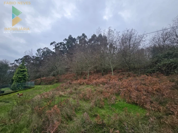 Terreno para Venda em Souto e Tabaçô Foto 2