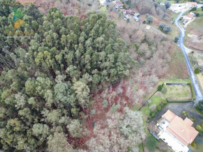 Terreno para Venda em Souto e Tabaçô Foto 12