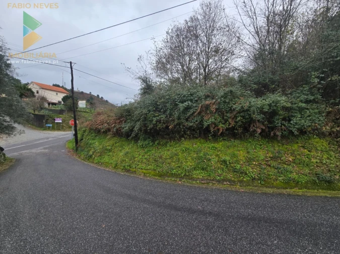 Terreno para Venda em Souto e Tabaçô Foto 8