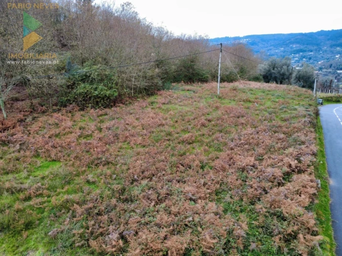 Terreno para Venda em Souto e Tabaçô Foto 4