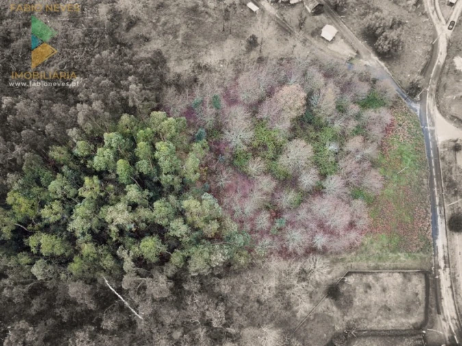 Terreno para Venda em Souto e Tabaçô Foto 11