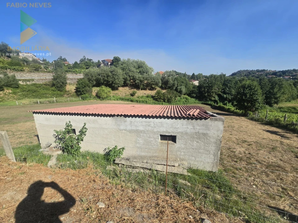 Terreno para Venda em Souto e Tabaçô Foto 12