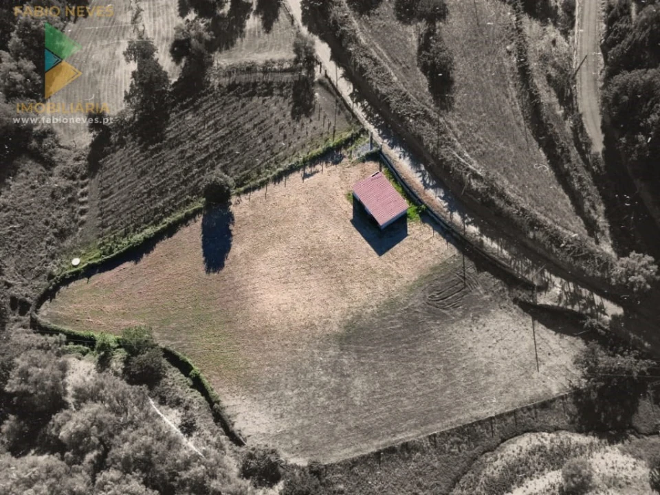 Terreno para Venda em Souto e Tabaçô Foto 4