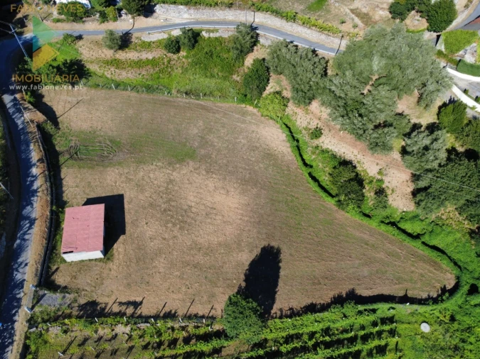 Terreno para Venda em Souto e Tabaçô Foto 8