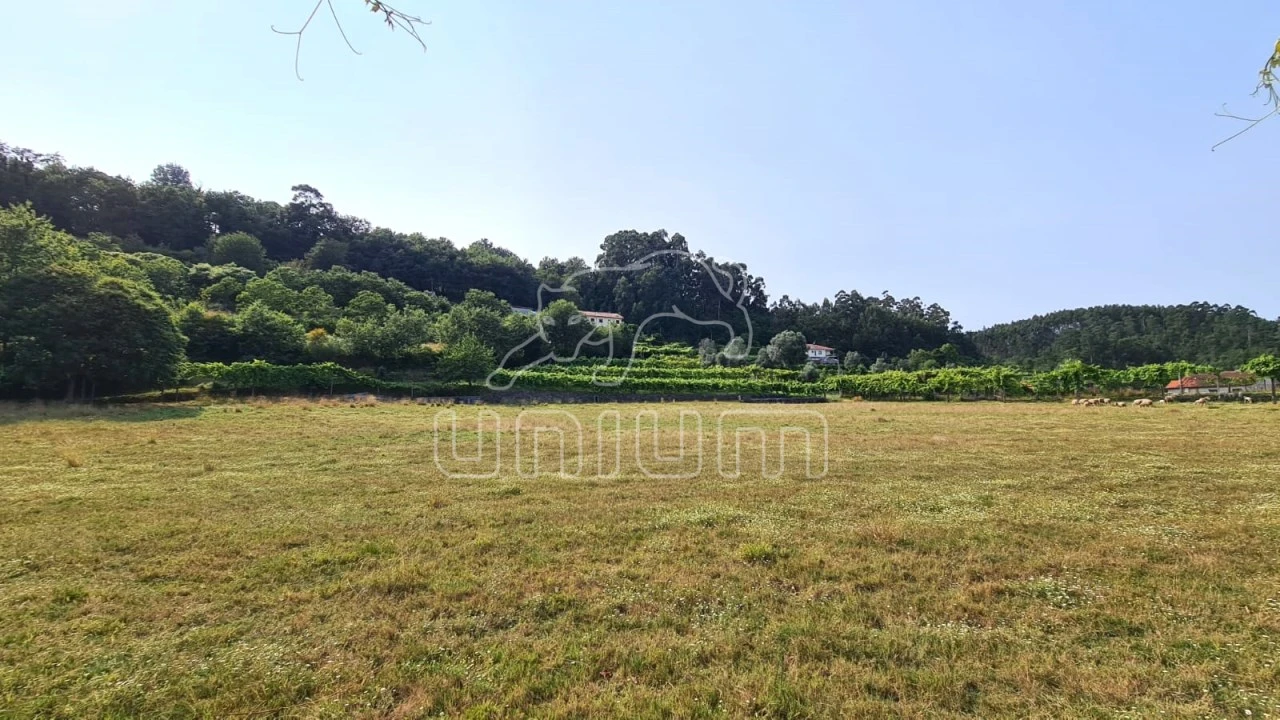 Terreno para Venda em Vade Foto 3