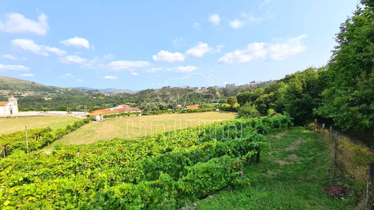 Terreno para Venda em Vade Foto 7