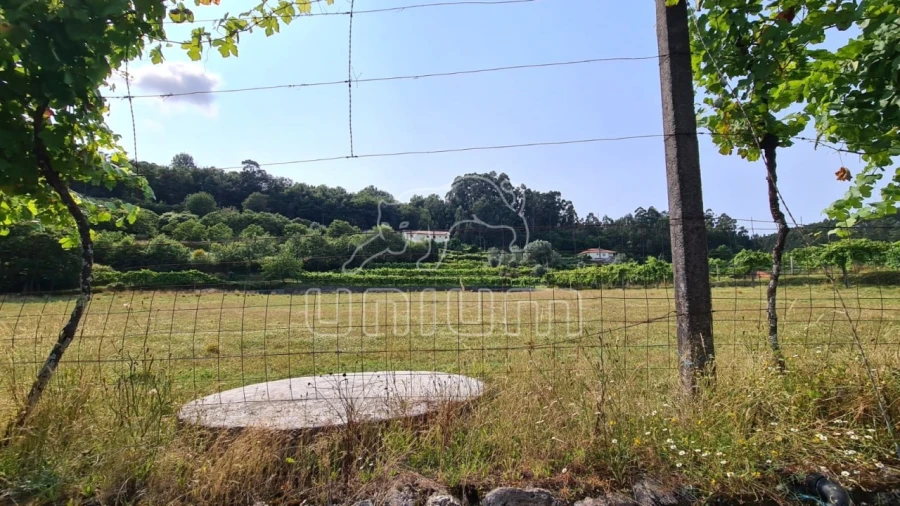 Terreno para Venda em Vade Foto 13