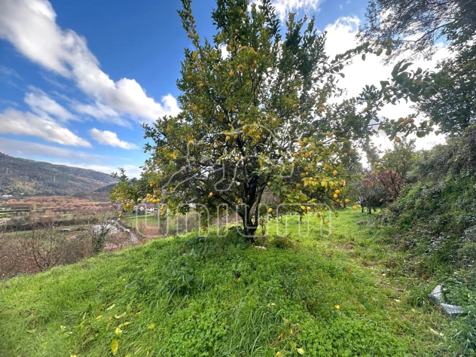 Moradia T4 para Venda em Ponte da Barca, V.N. Muía, Paço Vedro Magalhães Foto 8