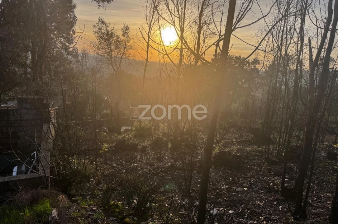 Terreno para Venda em Melres e Medas Foto 13