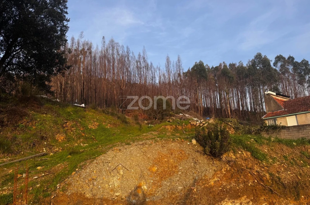 Terreno para Venda em Melres e Medas Foto 4