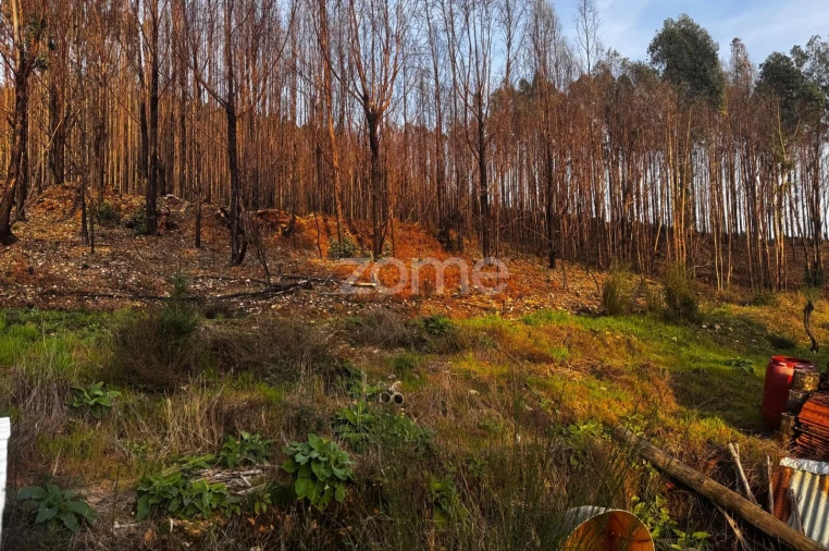 Terreno para Venda em Melres e Medas Foto 9