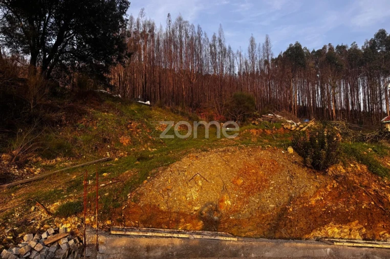 Terreno para Venda em Melres e Medas Foto 23