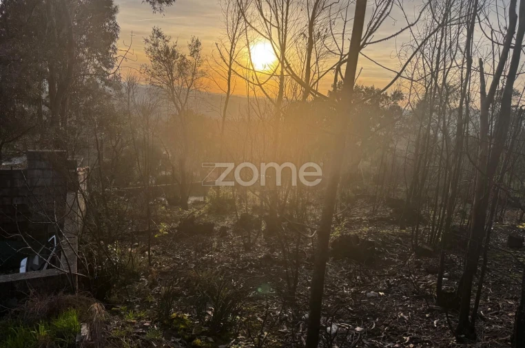 Terreno para Venda em Melres e Medas Foto 13