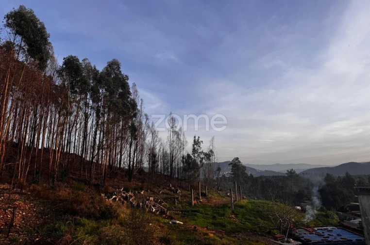 Terreno para Venda em Melres e Medas Foto 24