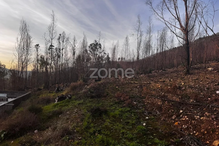 Terreno para Venda em Melres e Medas Foto 14