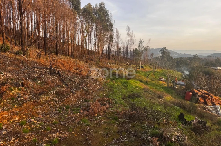 Terreno para Venda em Melres e Medas Foto 17