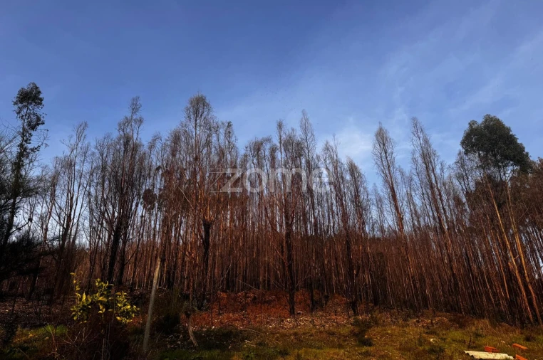 Terreno para Venda em Melres e Medas Foto 5