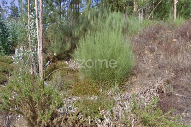 Terreno para Venda em Melres e Medas Foto 2